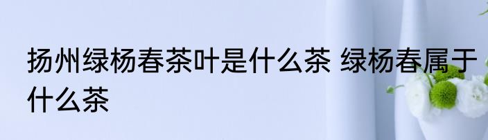 扬州绿杨春茶叶是什么茶 绿杨春属于什么茶
