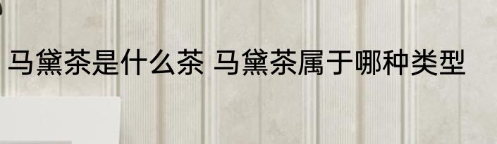 马黛茶是什么茶 马黛茶属于哪种类型