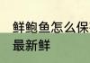 鲜鲍鱼怎么保存最简单 鲍鱼怎么保存最新鲜