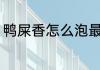 鸭屎香怎么泡最好喝 鸭屎香泡茶步骤