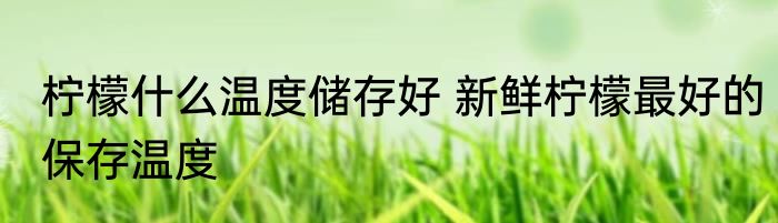 柠檬什么温度储存好 新鲜柠檬最好的保存温度