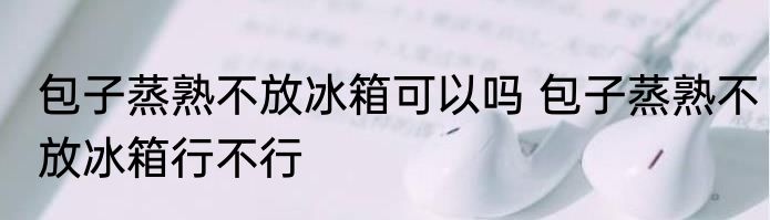 包子蒸熟不放冰箱可以吗 包子蒸熟不放冰箱行不行