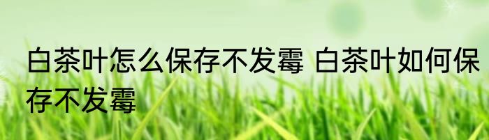白茶叶怎么保存不发霉 白茶叶如何保存不发霉