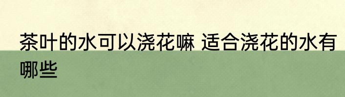 茶叶的水可以浇花嘛 适合浇花的水有哪些