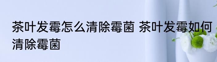 茶叶发霉怎么清除霉菌 茶叶发霉如何清除霉菌
