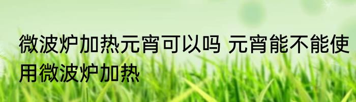 微波炉加热元宵可以吗 元宵能不能使用微波炉加热