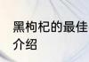 黑枸杞的最佳吃法 黑枸杞的最佳吃法介绍
