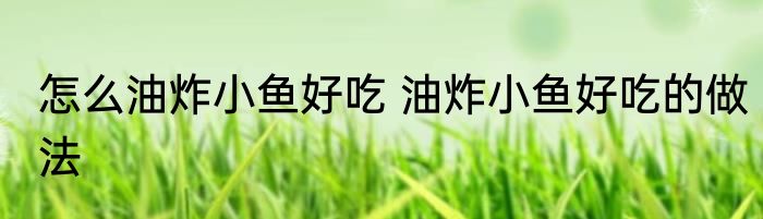 怎么油炸小鱼好吃 油炸小鱼好吃的做法
