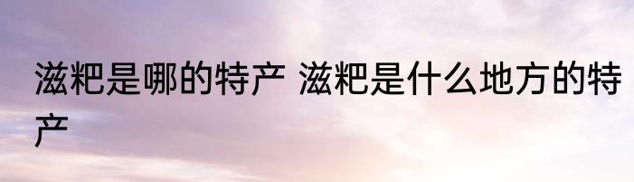 滋粑是哪的特产 滋粑是什么地方的特产