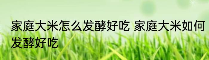 家庭大米怎么发酵好吃 家庭大米如何发酵好吃