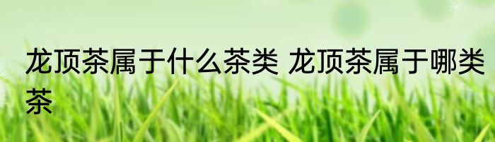 龙顶茶属于什么茶类 龙顶茶属于哪类茶