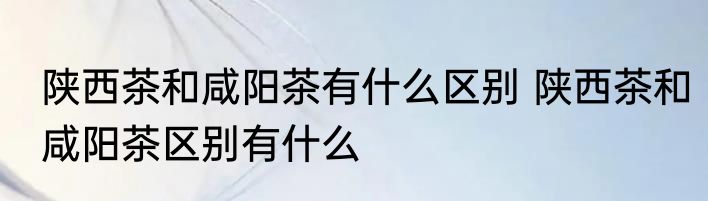 陕西茶和咸阳茶有什么区别 陕西茶和咸阳茶区别有什么