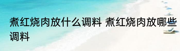煮红烧肉放什么调料 煮红烧肉放哪些调料