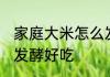 家庭大米怎么发酵好吃 家庭大米如何发酵好吃