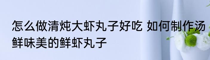 怎么做清炖大虾丸子好吃 如何制作汤鲜味美的鲜虾丸子
