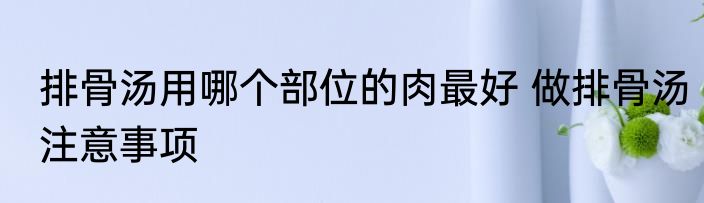 排骨汤用哪个部位的肉最好 做排骨汤注意事项