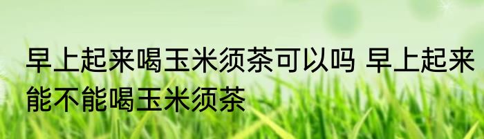 早上起来喝玉米须茶可以吗 早上起来能不能喝玉米须茶