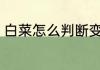 白菜怎么判断变质 白菜如何判断变质