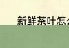 新鲜茶叶怎么养 茶叶怎样保养