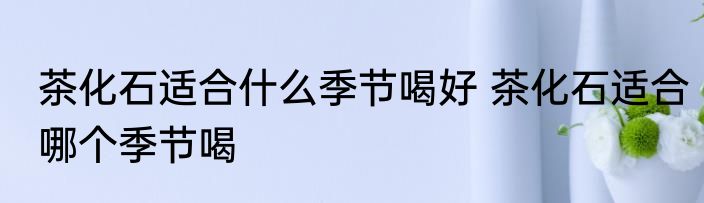 茶化石适合什么季节喝好 茶化石适合哪个季节喝