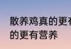 散养鸡真的更有营养吗 散养鸡是否真的更有营养