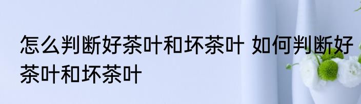 怎么判断好茶叶和坏茶叶 如何判断好茶叶和坏茶叶