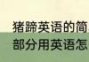 猪蹄英语的简单介绍怎么写 猪的其他部分用英语怎么说