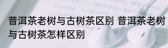 普洱茶老树与古树茶区别 普洱茶老树与古树茶怎样区别
