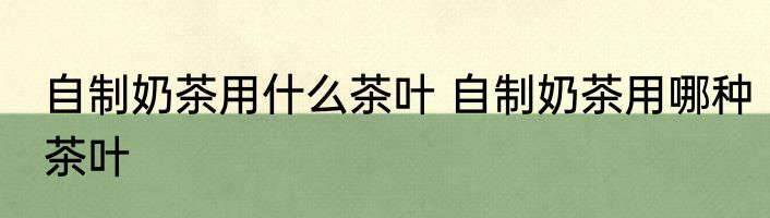 自制奶茶用什么茶叶 自制奶茶用哪种茶叶
