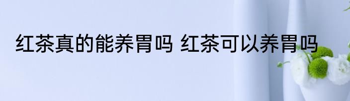 红茶真的能养胃吗 红茶可以养胃吗