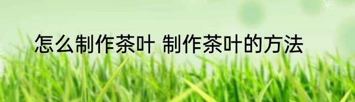 怎么制作茶叶 制作茶叶的方法