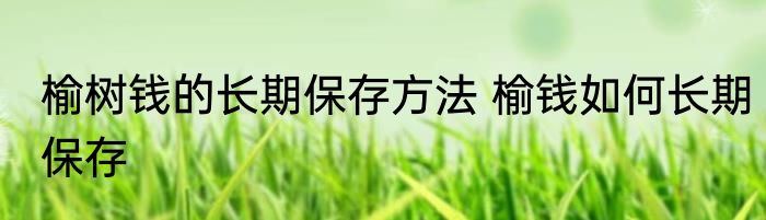 榆树钱的长期保存方法 榆钱如何长期保存