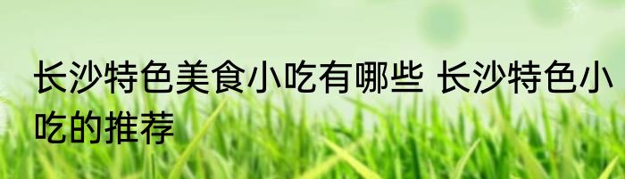 长沙特色美食小吃有哪些 长沙特色小吃的推荐