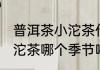 普洱茶小沱茶什么季节喝好 普洱茶小沱茶哪个季节喝好