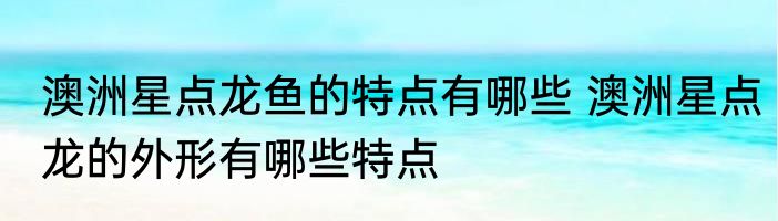 澳洲星点龙鱼的特点有哪些 澳洲星点龙的外形有哪些特点