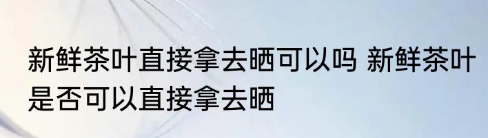 新鲜茶叶直接拿去晒可以吗 新鲜茶叶是否可以直接拿去晒