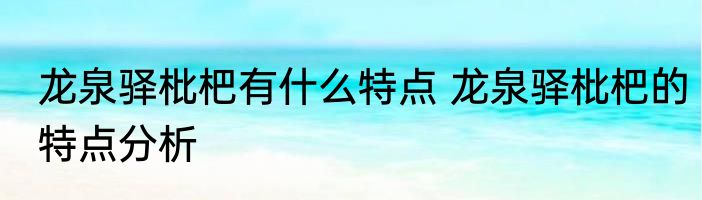 龙泉驿枇杷有什么特点 龙泉驿枇杷的特点分析