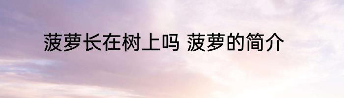 菠萝长在树上吗 菠萝的简介