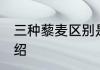 三种藜麦区别是什么 三种藜麦简单介绍
