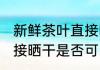 新鲜茶叶直接晒干可以吗 新鲜茶叶直接晒干是否可以