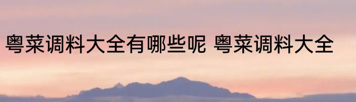 粤菜调料大全有哪些呢 粤菜调料大全