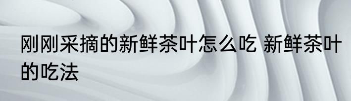 刚刚采摘的新鲜茶叶怎么吃 新鲜茶叶的吃法