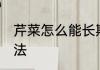 芹菜怎么能长期保存呢 芹菜保存的方法