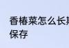 香椿菜怎么长期保存 香椿菜如何长期保存