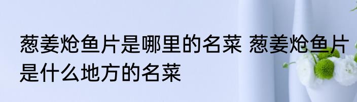 葱姜炝鱼片是哪里的名菜 葱姜炝鱼片是什么地方的名菜