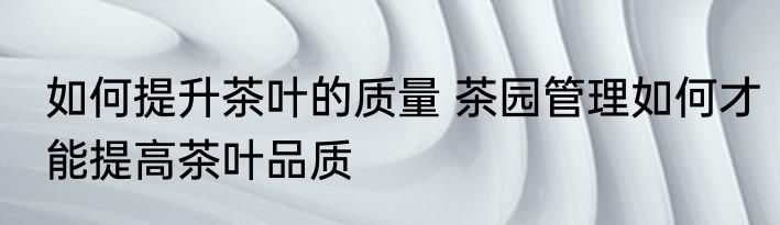 如何提升茶叶的质量 茶园管理如何才能提高茶叶品质