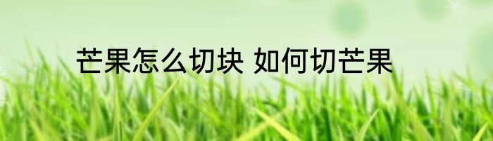 芒果怎么切块 如何切芒果