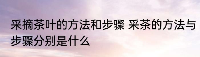 采摘茶叶的方法和步骤 采茶的方法与步骤分别是什么