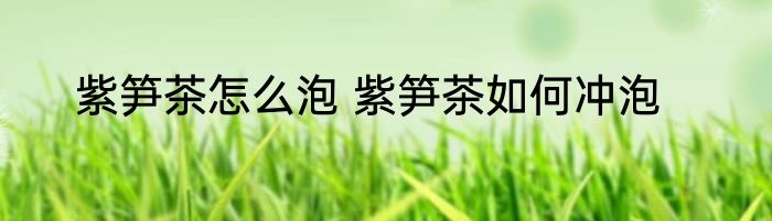 紫笋茶怎么泡 紫笋茶如何冲泡