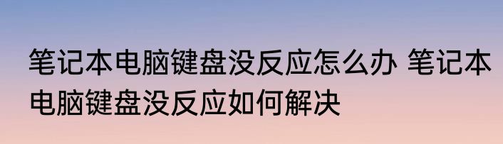 笔记本电脑键盘没反应怎么办 笔记本电脑键盘没反应如何解决